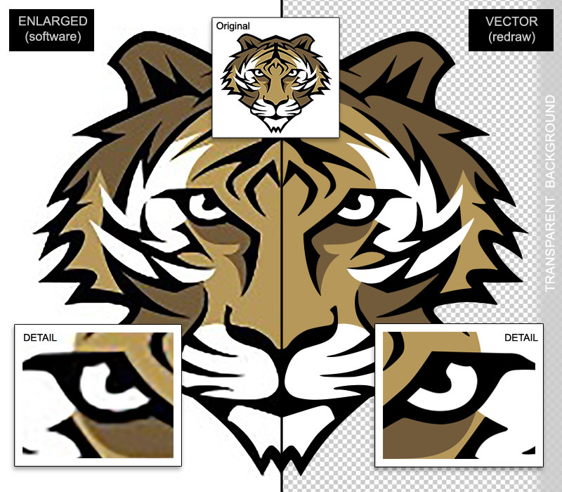 Vector Illustrations